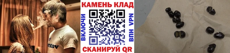 мориарти как зайти  наркошоп  Зеленогорск  Гашиш hashish 