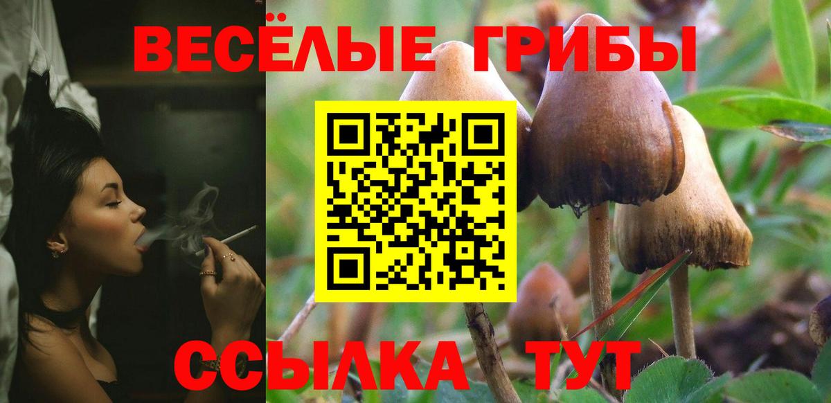 Галлюциногенные грибы ЛСД  Вход с VPN  Зеленогорск 