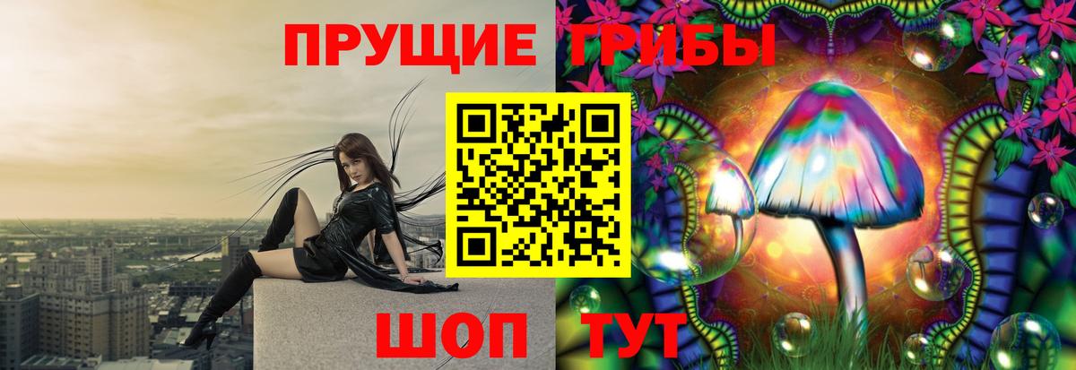 Галлюциногенные грибы MAGIC MUSHROOMS Зеленогорск