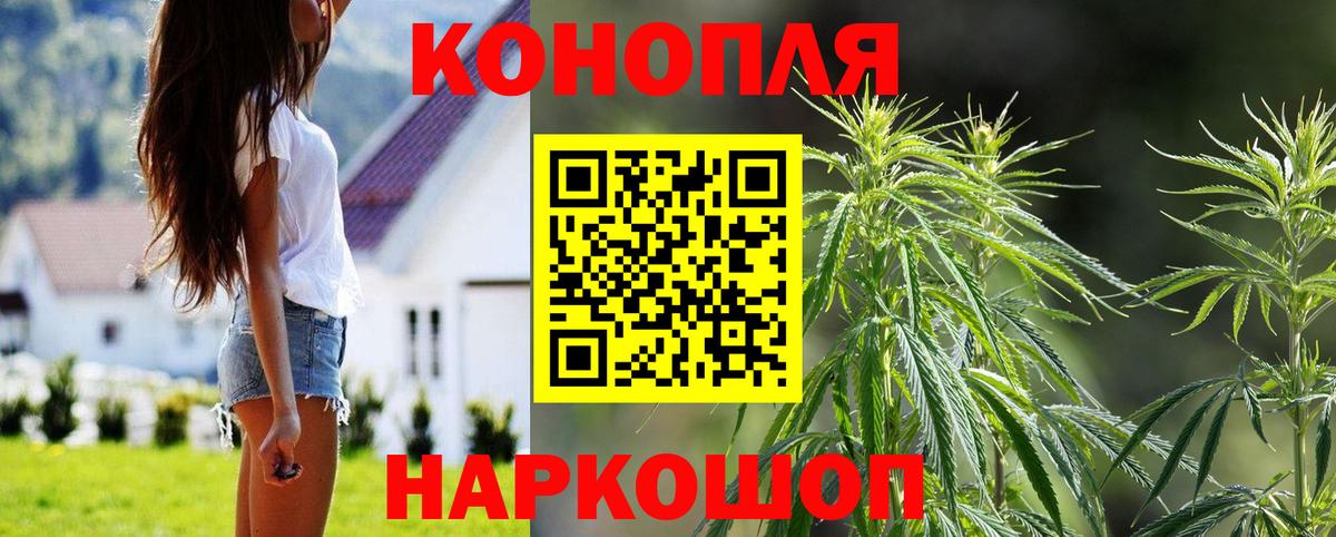 Конопля Ganja Зеленогорск